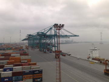 Containerterminal En Kranen
